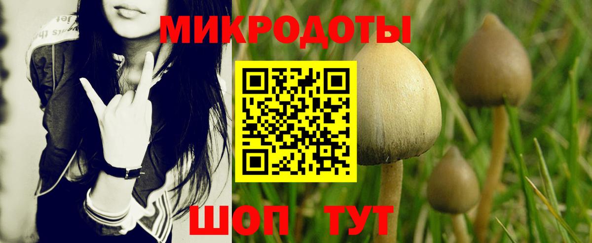 ГАШИШ Сорочинск